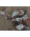 THTO-005c, Impulsion II, Thierry Tomety, 2026, Paper Cloths and Fiber on Canvas, 120x90cm.webp