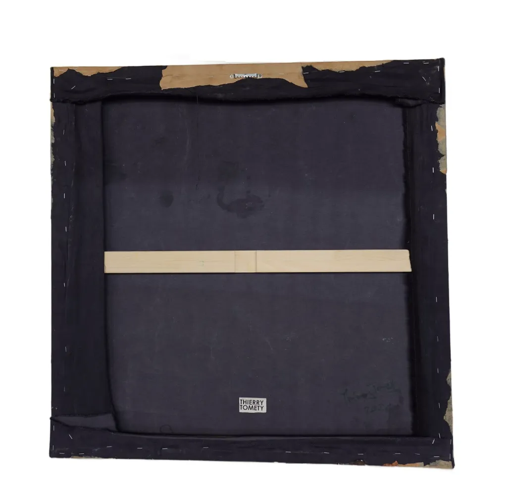 THTO-008d, Test de Compatibilité, Thierry Tomety, 2026, Papercloths and Fiber on Canvas, 80x80cm.webp