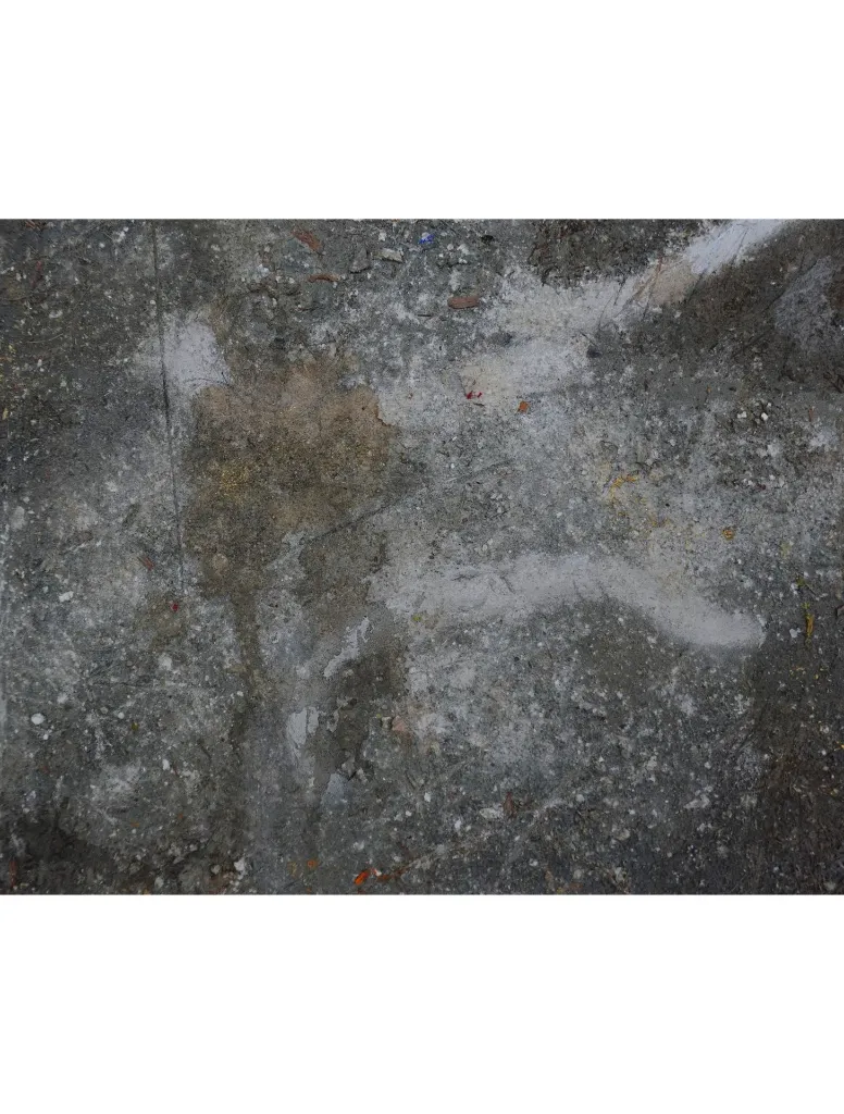 THTO-011b, Paréidolie Series - 2, Thierry Tomety, 2026, Acrylic, Sand and Natural Fiber, 40 x 30 cm.webp