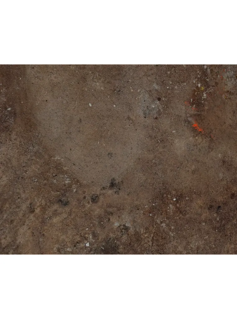THTO-012b, Paréidolie Series - 3, Thierry Tomety, 2026, Acrylic, Sand and Natural Fiber on Canvas, 40x30cm.webp