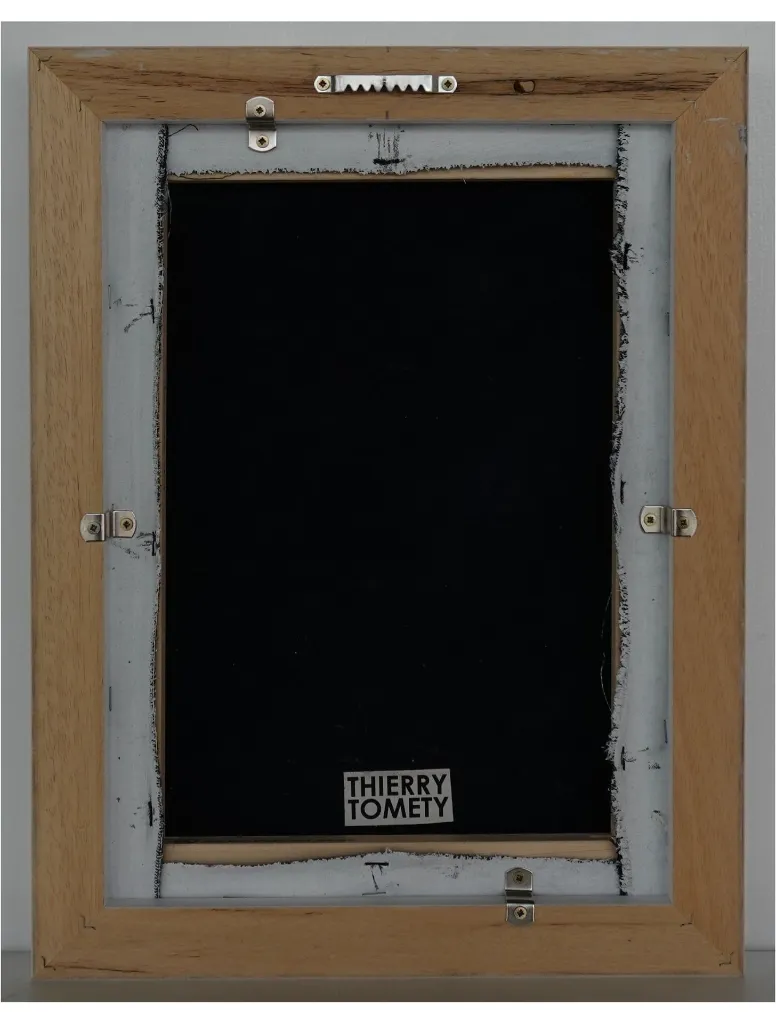 THTO-013c, Paréidolie Series - 4, Thierry Tomety, 2026, Acrylic, Sand and Natural Fiber on Canvas, 40x30cm.webp