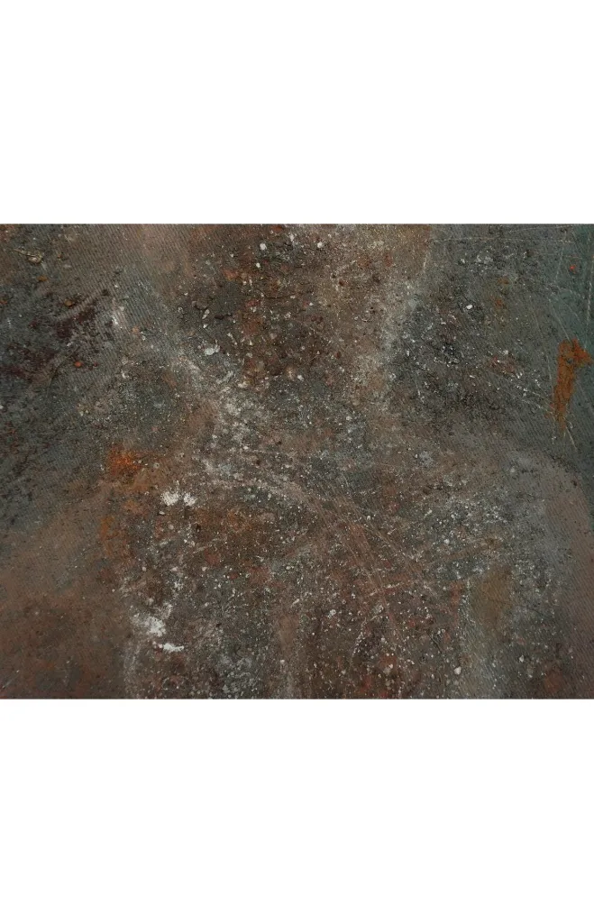 THTO-014b, Paréidolie Series - 5, Thierry Tomety, 2026, Acrylic, Sand and Natural Fiber on Canvas, 40x30cm.webp