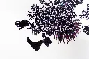 SAAM-68d, Anatomy of a Movement II.webp