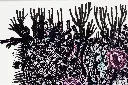 SAAM-072d, Terra Incognita (Uncharted Land), 2026.webp