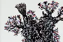 SAAM-073c, Silent Ground (Anatomy of the Land), 2026.webp