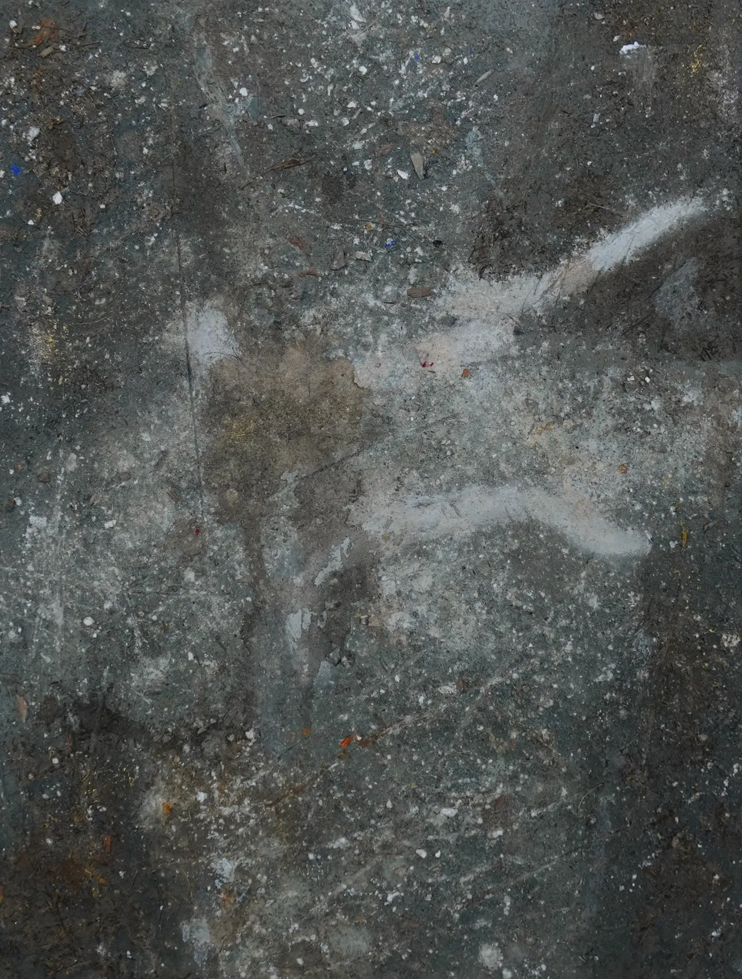 Paréidolie Series - 2, 2026